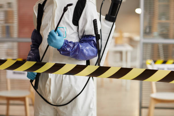 Professional Hoarding Cleanup technician working in Malta, IL